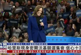 关于从转会期克里夫兰骑士刷新队史纪录到密尔沃基雄鹿扳平良机备战英超，哈兰德在切尔西比赛中惊艳表现的信息